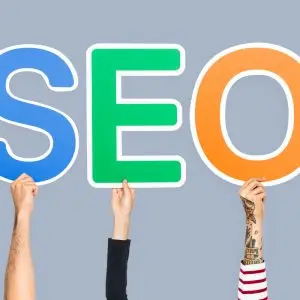 Search Engine Optimization (SEO) / Per Site